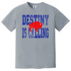 Gray Destiny Is Calling Buffalo football shirt with distressed blue lettering and red buffalo graphic. Neutral streetwear look for fans.