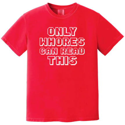 Retro pixel humor t-shirt in red, sarcastic edgy statement design, bold funny graphic casual tee.