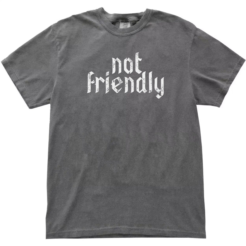 Gray “Not Friendly” t-shirt flat lay featuring worn gothic lettering and simple funny sarcasm tee style