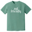 Green “Not Friendly” t-shirt flat lay highlighting gothic-style distressed text and funny minimalist sarcasm