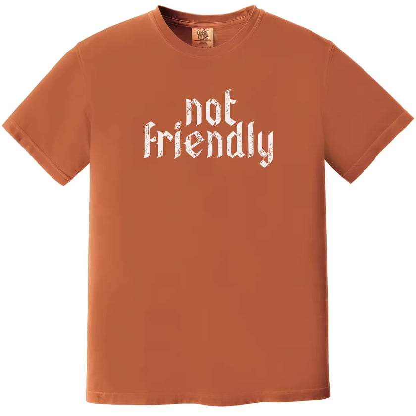 Orange “Not Friendly” t-shirt flat lay showcasing bold distressed gothic text and dry humor graphic tee style