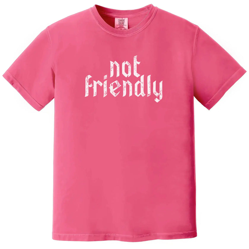 Pink “Not Friendly” t-shirt flat lay combining distressed gothic lettering with funny sarcastic everyday style