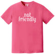 Pink “Not Friendly” t-shirt flat lay combining distressed gothic lettering with funny sarcastic everyday style