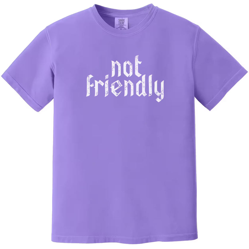 Purple “Not Friendly” t-shirt flat lay showcasing edgy gothic text and dry humor graphic tee design