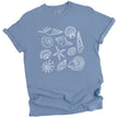 Women’s seashell t-shirt in light blue,  detailed ocean shell illustrations arranged in a soft coastal summer aesthetic layout.