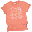 Seashell summer t-shirt in orange, featuring multiple ocean shell varieties arranged in a bright coastal minimalist beach design.