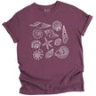 Seashell graphic tee in maroon, featuring multiple detailed seashell varieties arranged in a soft coastal summer aesthetic layout.