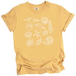 Seashell beach graphic tee in yellow, featuring multiple seashell varieties arranged in a clean coastal summer design for women.